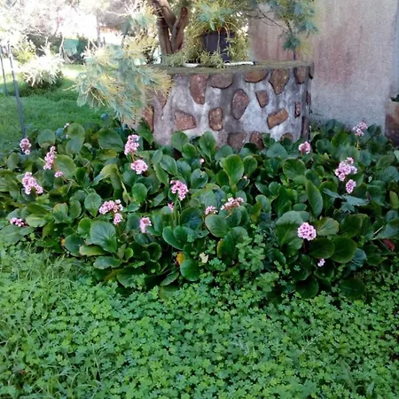 Prázdninový dům Casa Tina A Guarda