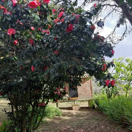 Casa Tina *