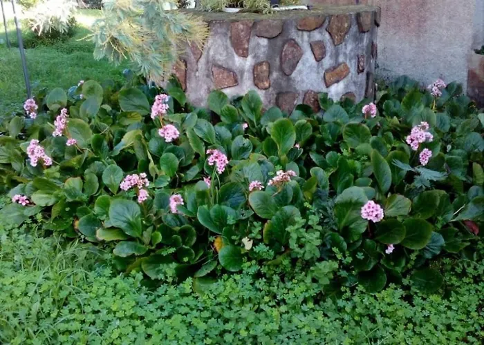 Prázdninový dům Casa Tina A Guarda