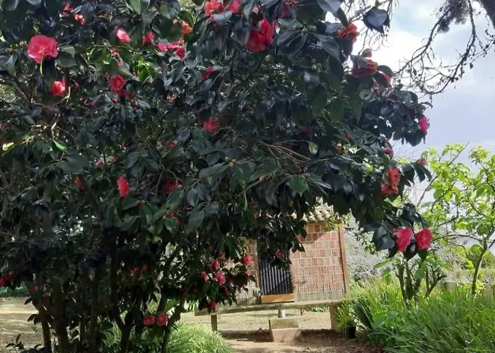 Casa Tina *
