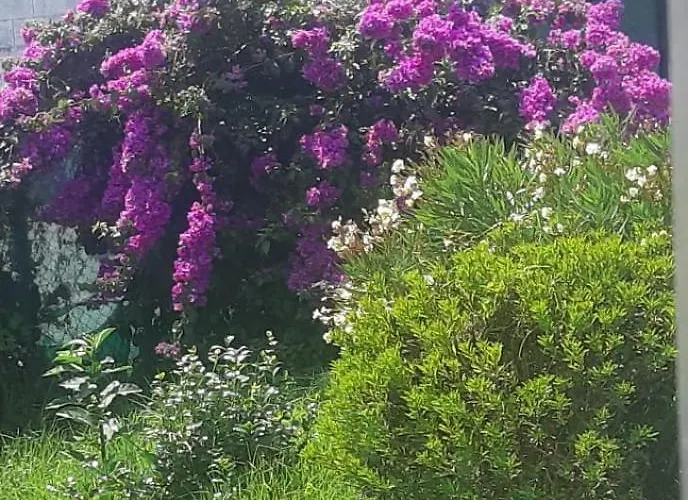 Casa Tina *
